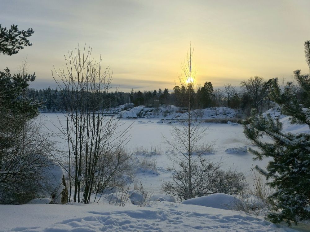 Photograph by Любовь Фёдорова