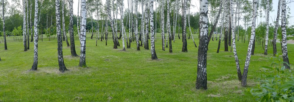 Photograph by Андрей Семенков