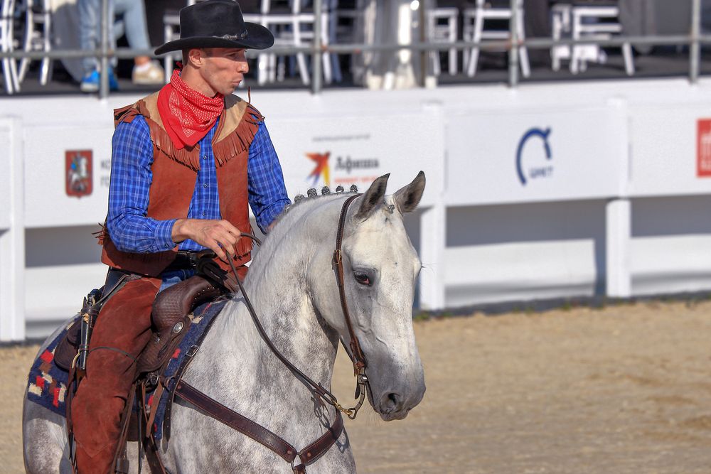 Фотография автора Светлана Долотова