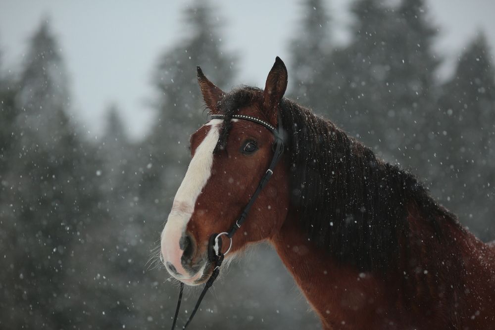 Photograph by Ирина Казанцева