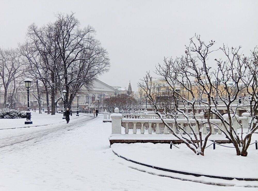 Москва. В Александровском саду.