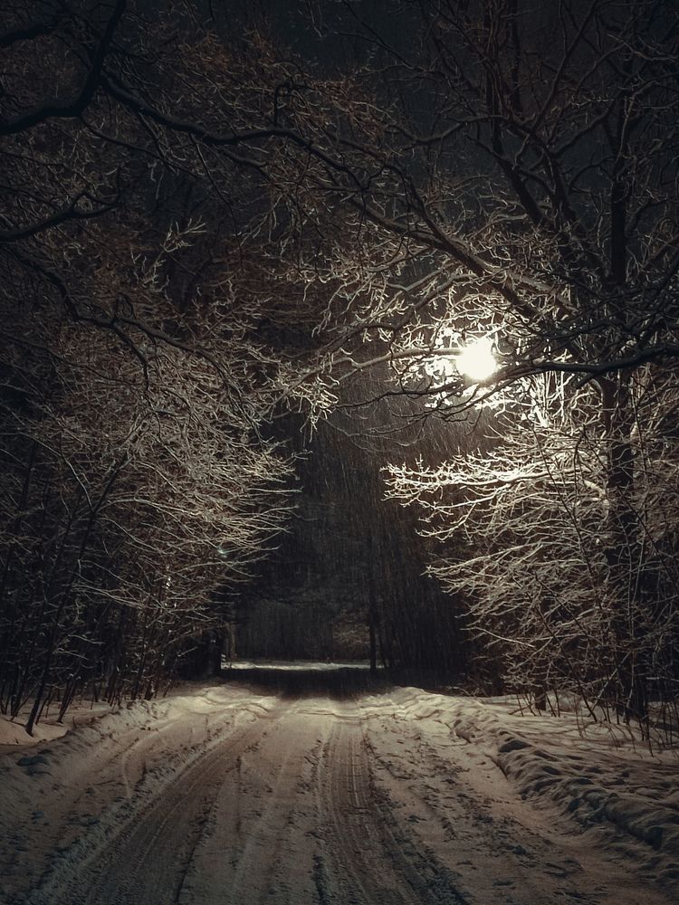 Photograph by Хоменчук Людмила