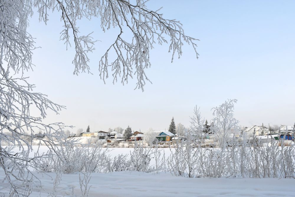 Фотография автора Елена Гасенко