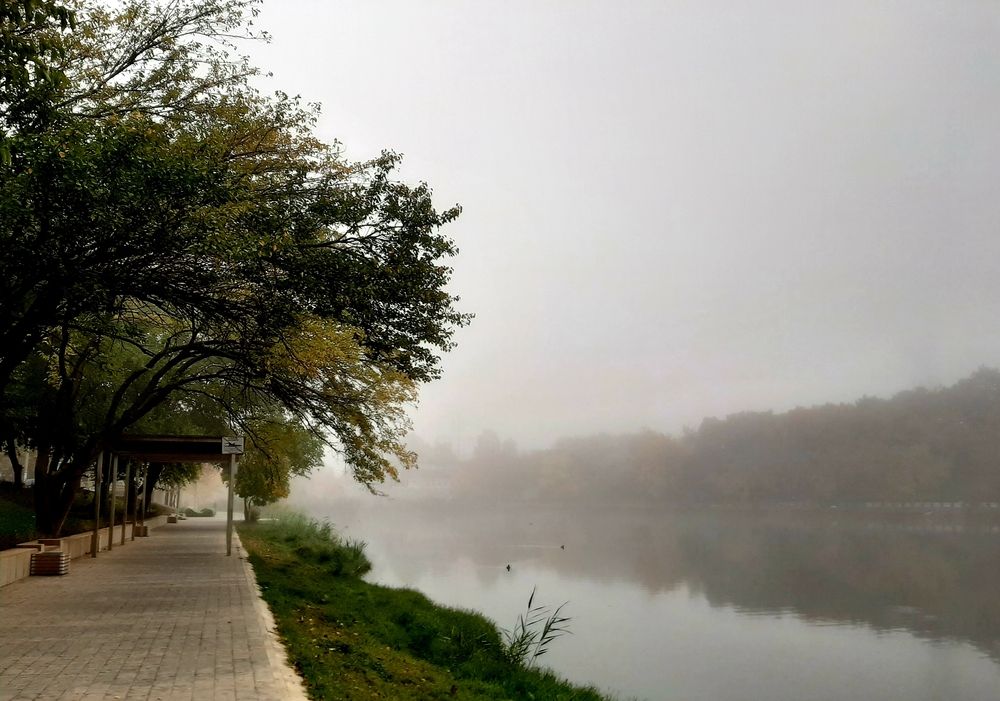 Photograph by Елена