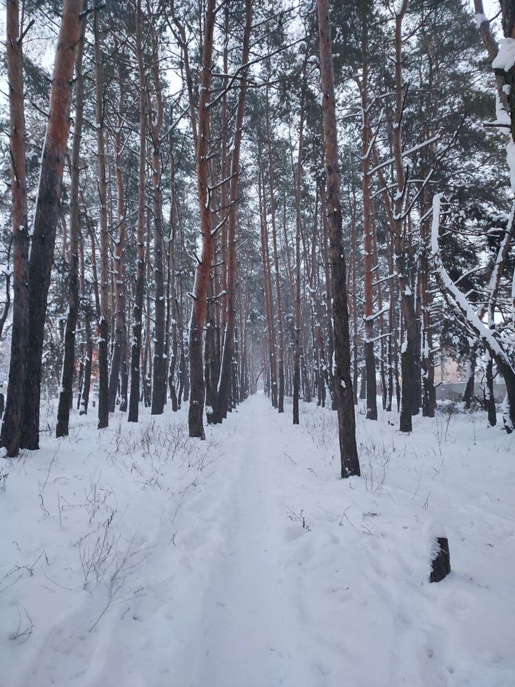 Photograph by Хоменчук Людмила