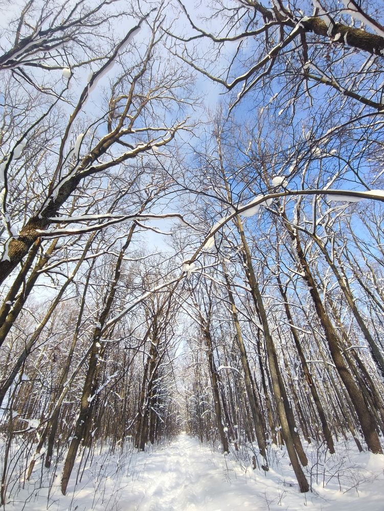 Photograph by Хоменчук Людмила