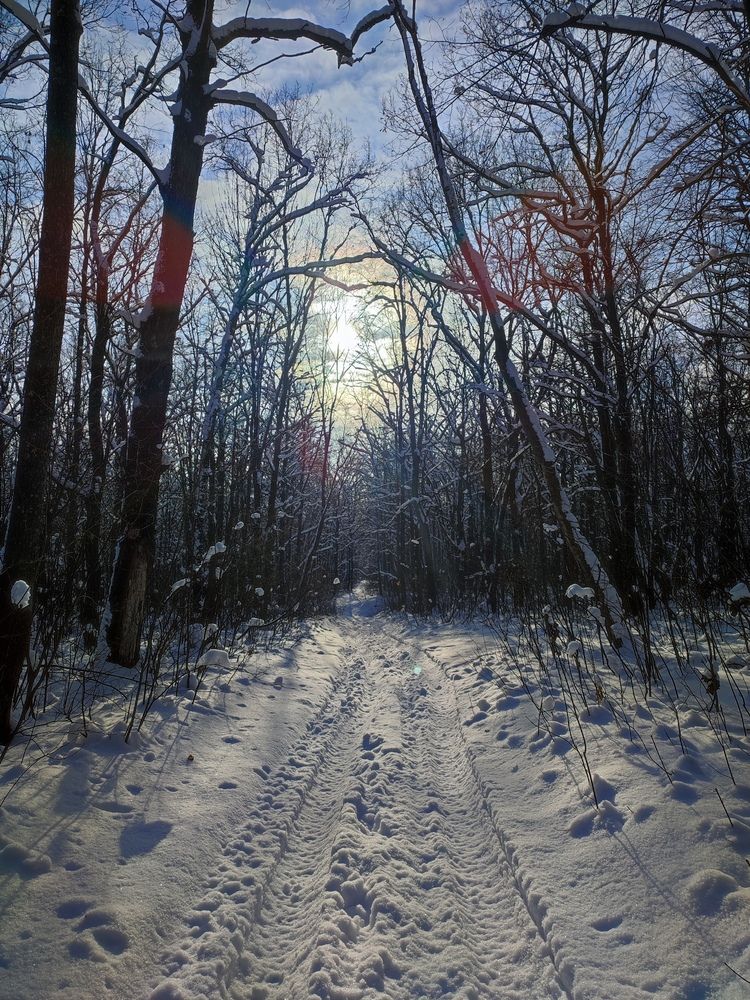 Photograph by Хоменчук Людмила