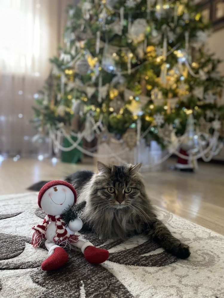 Photograph by Елена Рябова