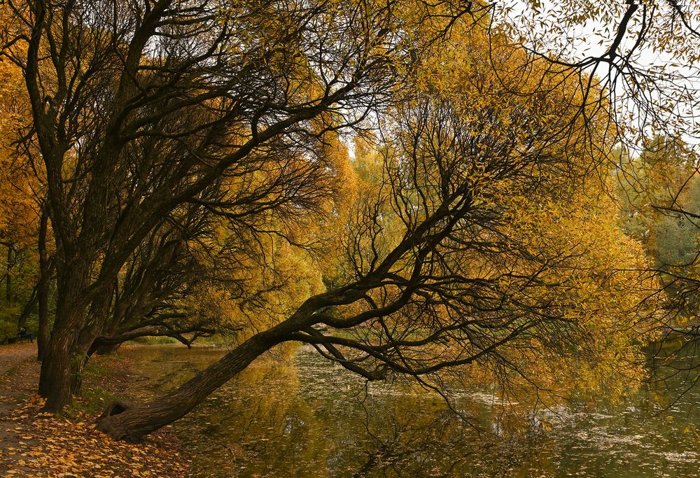 Photograph by Inna Ivanova