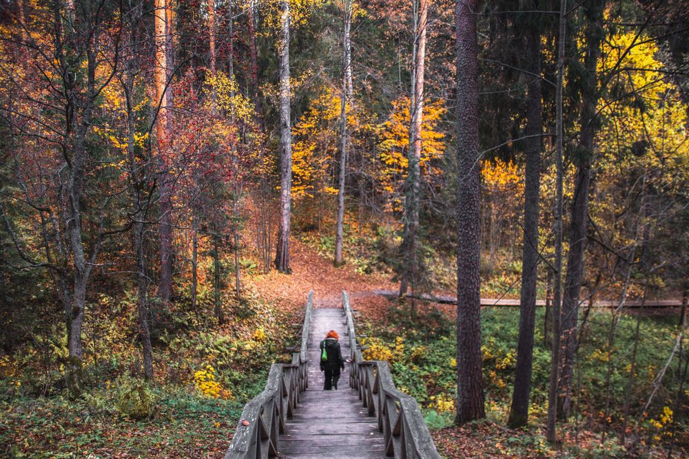 Photograph by Елена Ефимова