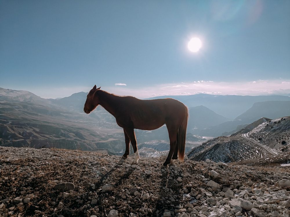 Фотография автора Андрей Пучков