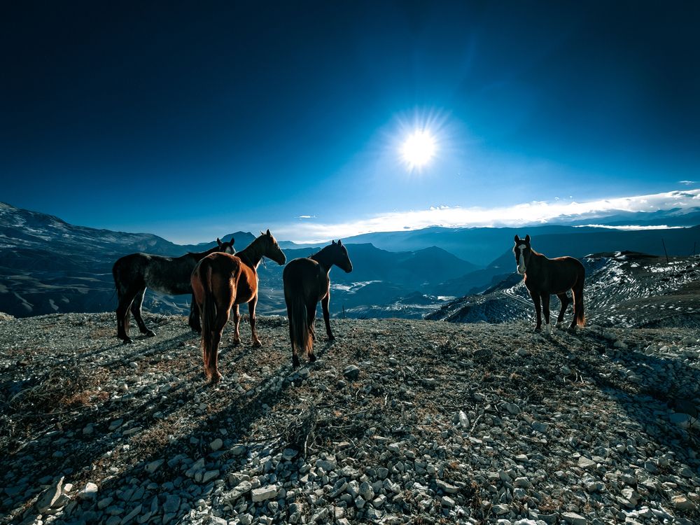 Фотография автора Андрей Пучков