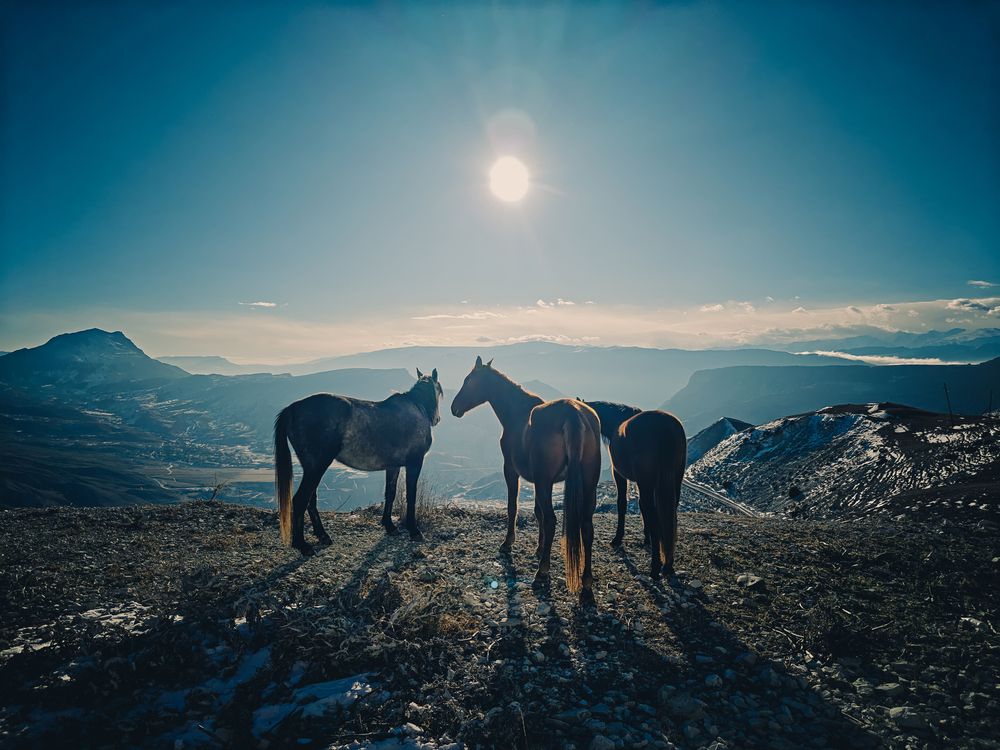 Фотография автора Андрей Пучков