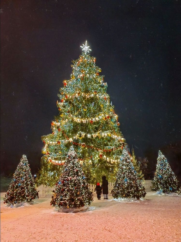 Photograph by Мария Самохвалова