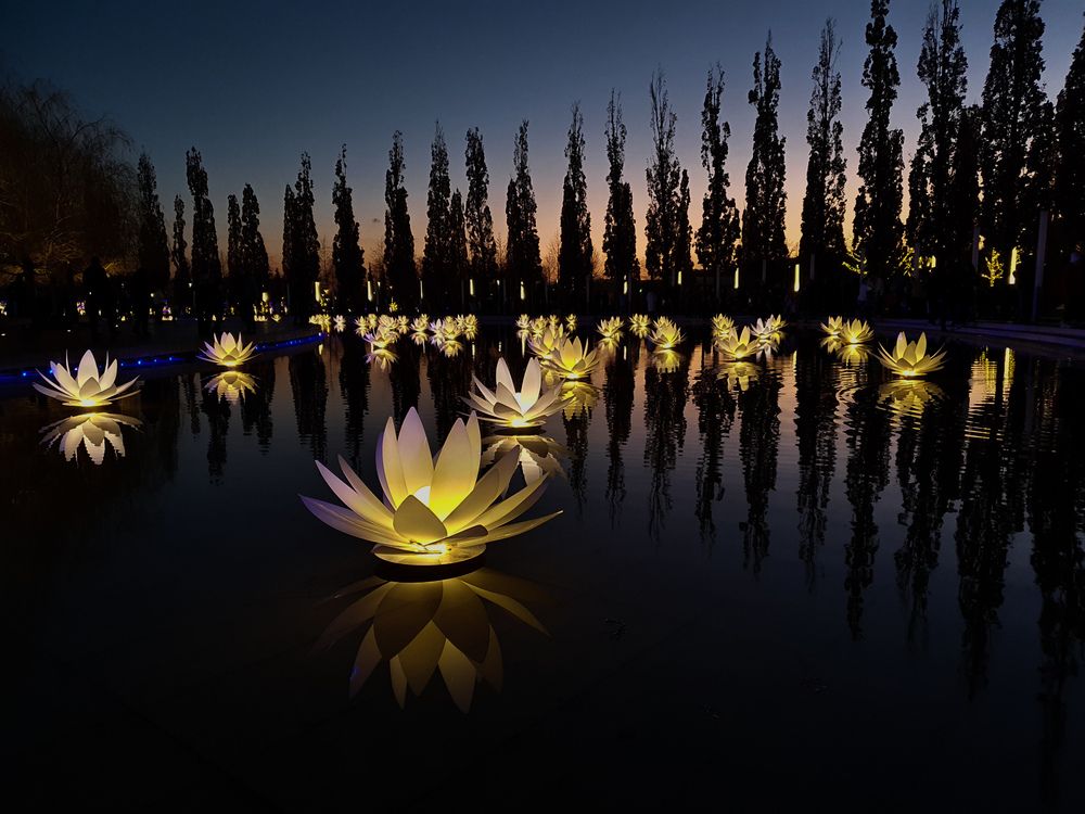 Photograph by Анастасия Трофимовская