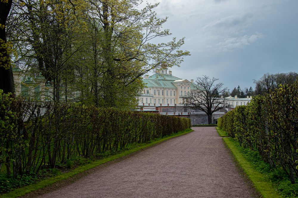 Фотография автора Татьяна