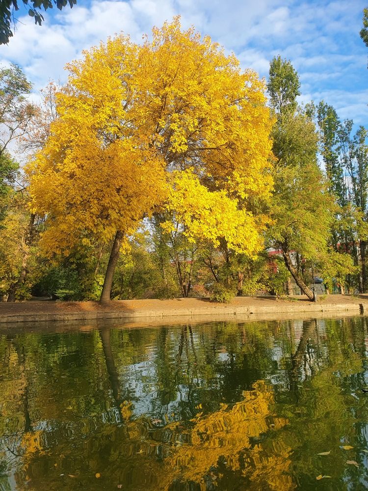 Photograph by Анастасия Трофимовская