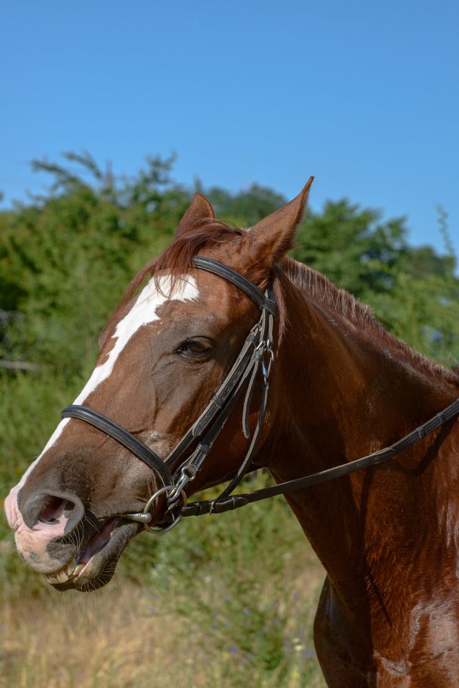 Photograph by Римма Волченко
