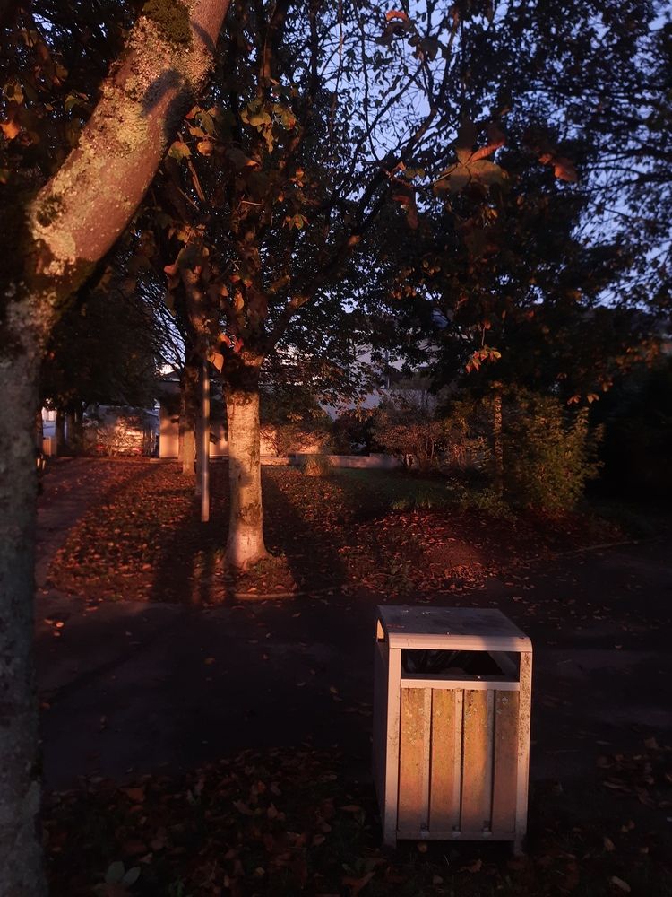 Photograph by SAMEERA MADUSHANTHA MUTHUKUDA ARACHCHIGE