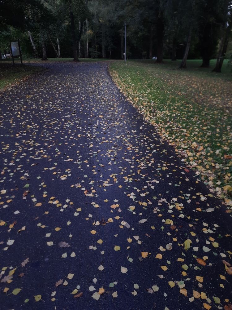 Photograph by SAMEERA MADUSHANTHA MUTHUKUDA ARACHCHIGE