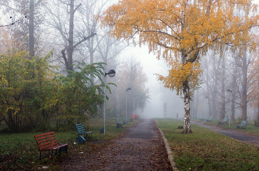 Фотография автора Михаил Бушенёв