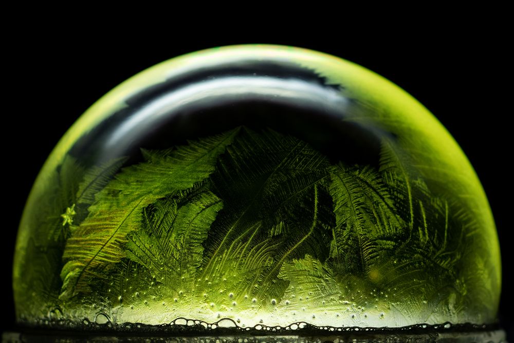 Photograph by Никита Иванов