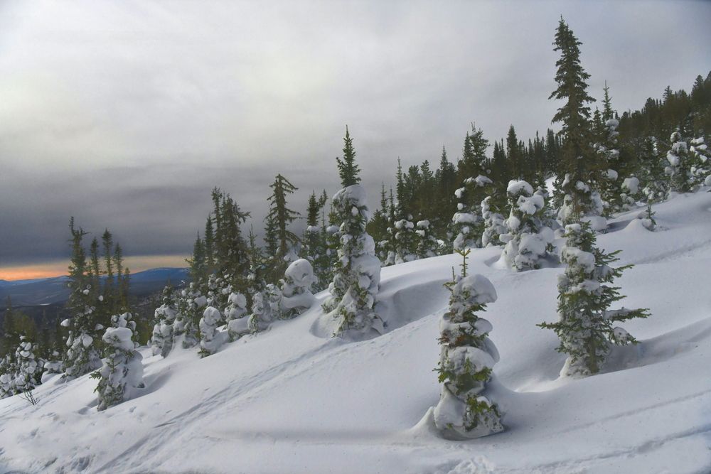 Photograph by Крат Светлана