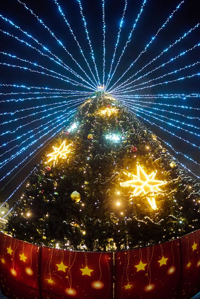 Фотография автора Александр Жданов