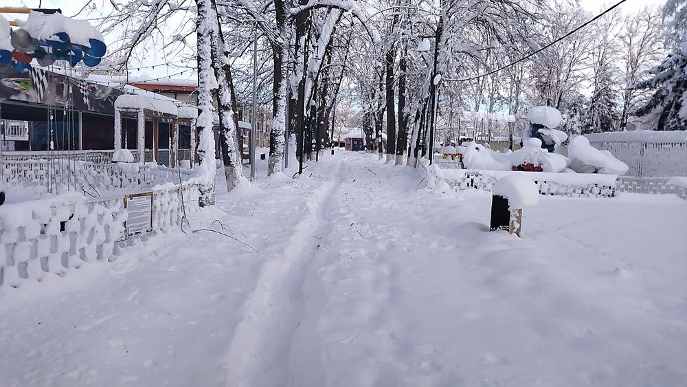 Photograph by Владимир Стадник