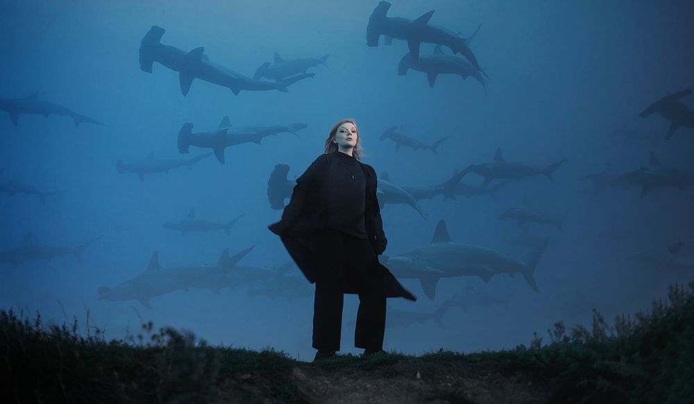 Photograph by Михаил Бушенёв