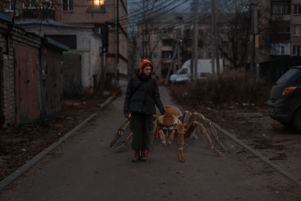 Фотография автора Михаил Бушенёв