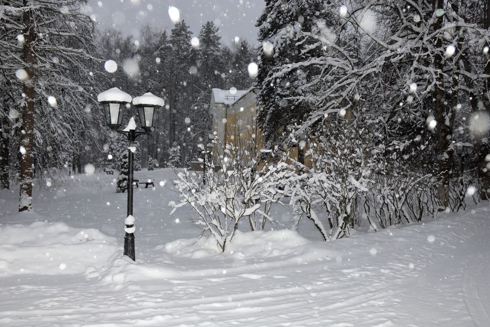 Photograph by Дубина Леонид