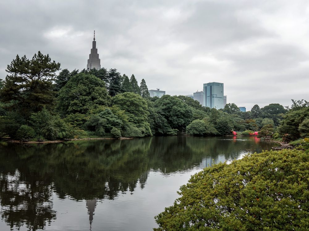 Photograph by Басалаев Евгений