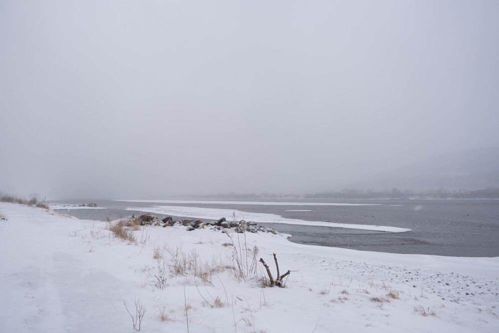 Photograph by Елена Николайчук