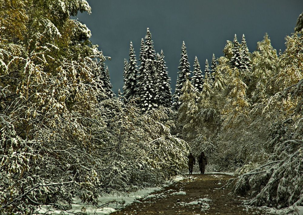 Photograph by Сергей Перов