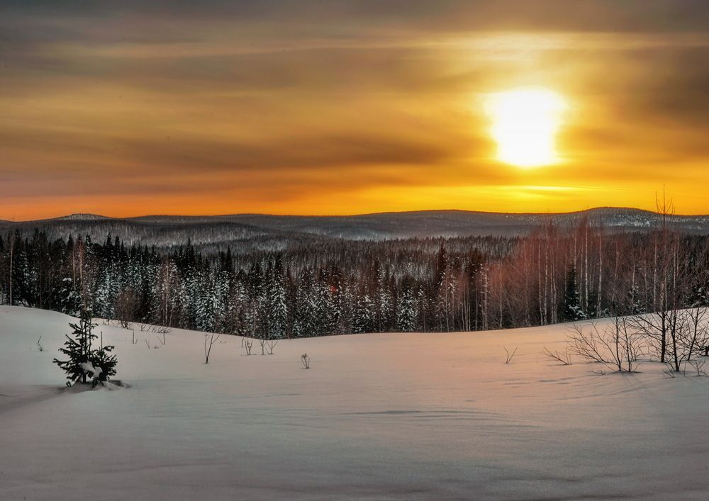 Photograph by Сергей Перов