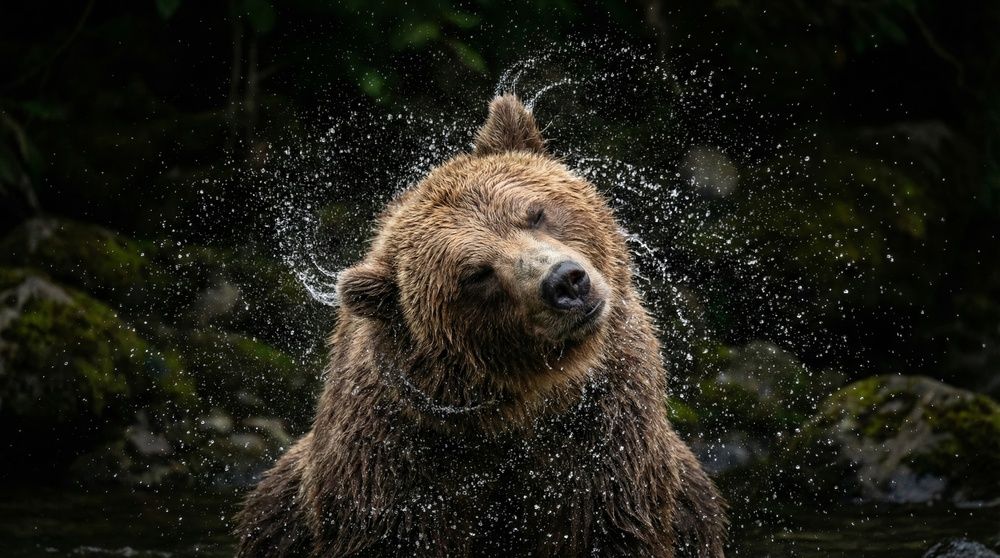 Фотография автора Никита Кизевич