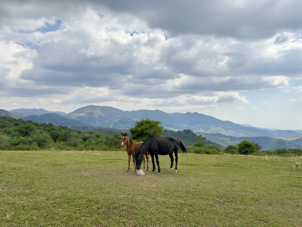 Photograph by Дина