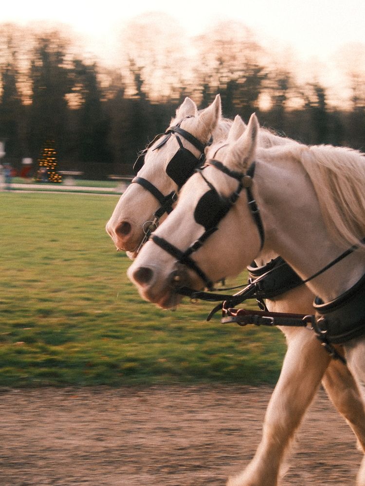 Photograph by Анастасия Короленко