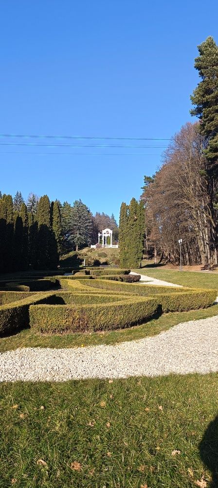 Фотография автора Елена Александрова