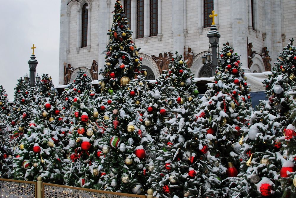 Photograph by Анастасия Смирнова