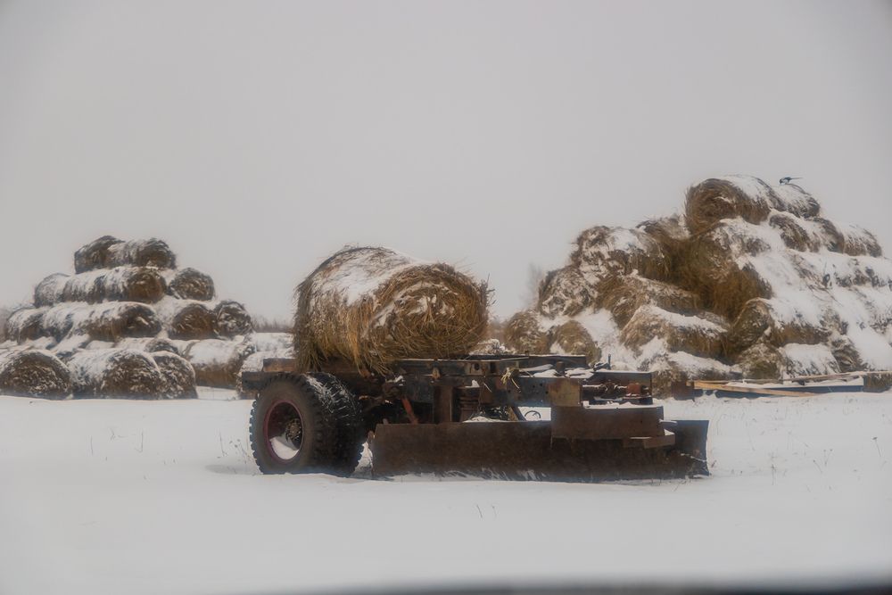 Фотография автора Максим Фролов