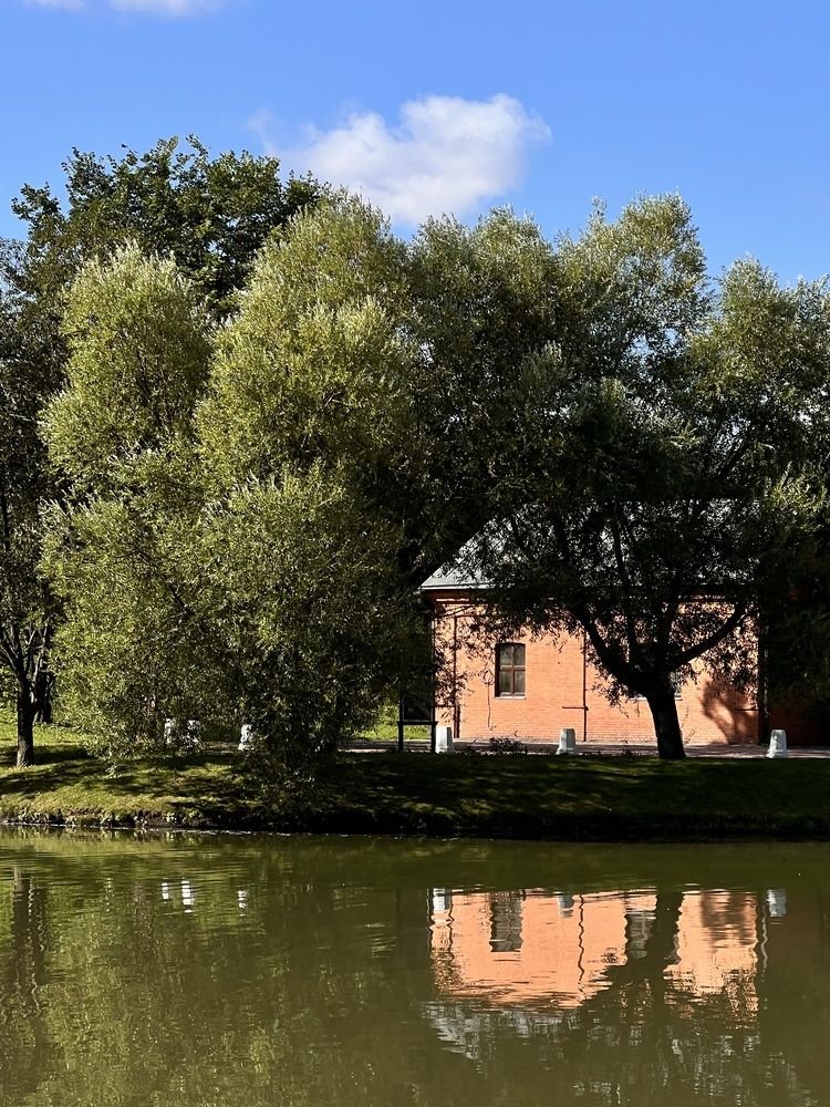 Фотография автора Полина Ишкина