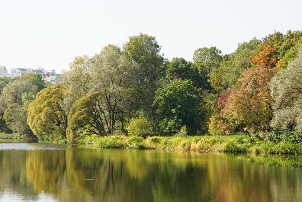 Photograph by сергей мишаков