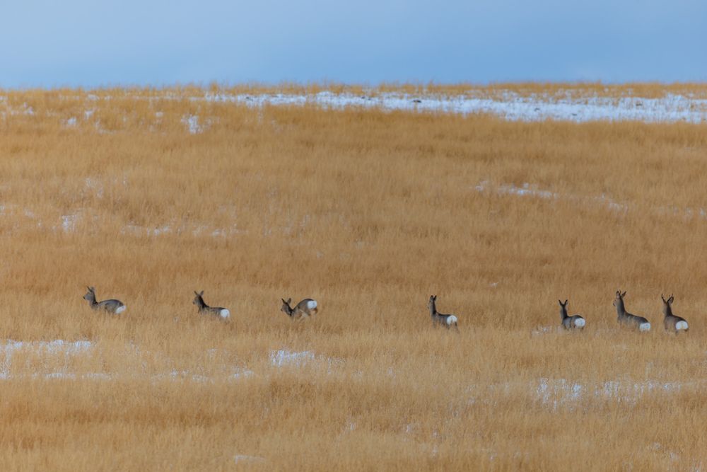Фотография автора Максим Фролов