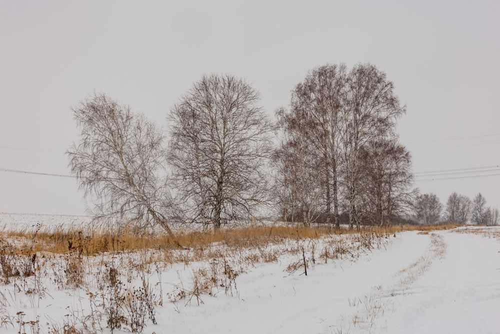 Фотография автора Максим Фролов