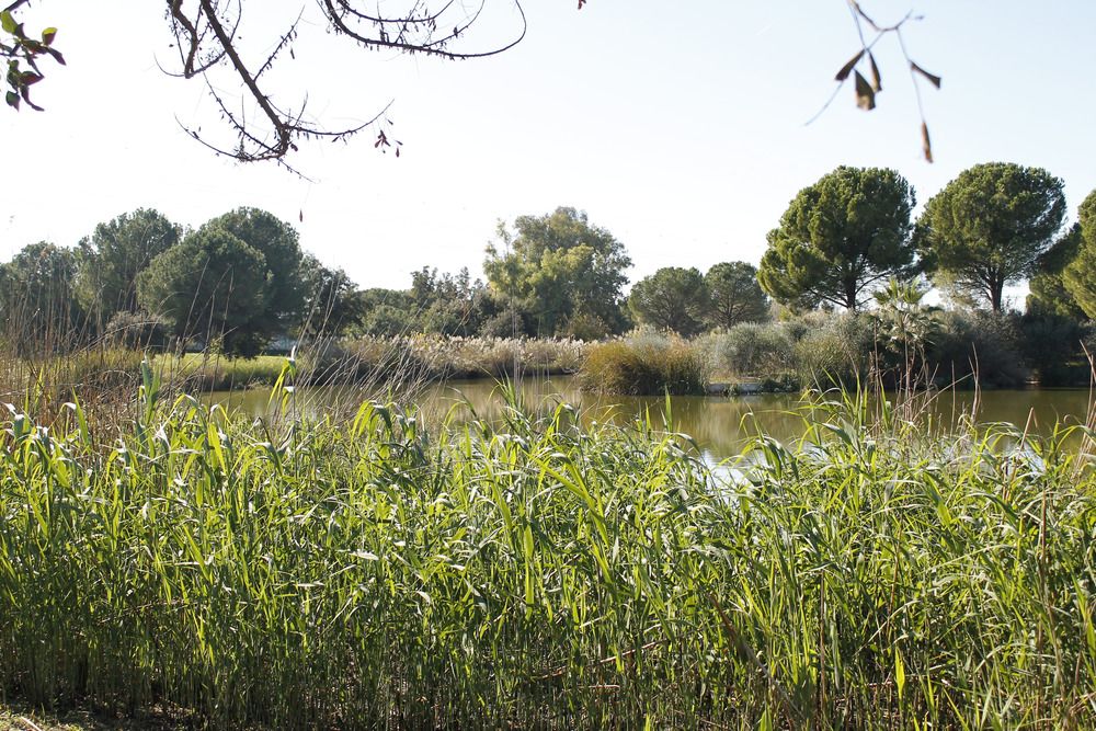 Photograph by angel rodriguez