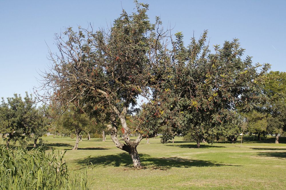 Photograph by angel rodriguez