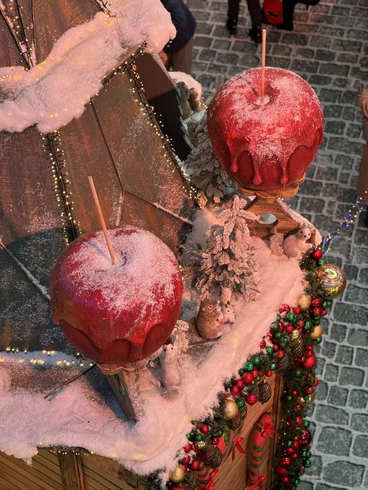 Фотография автора Юлия Соловей