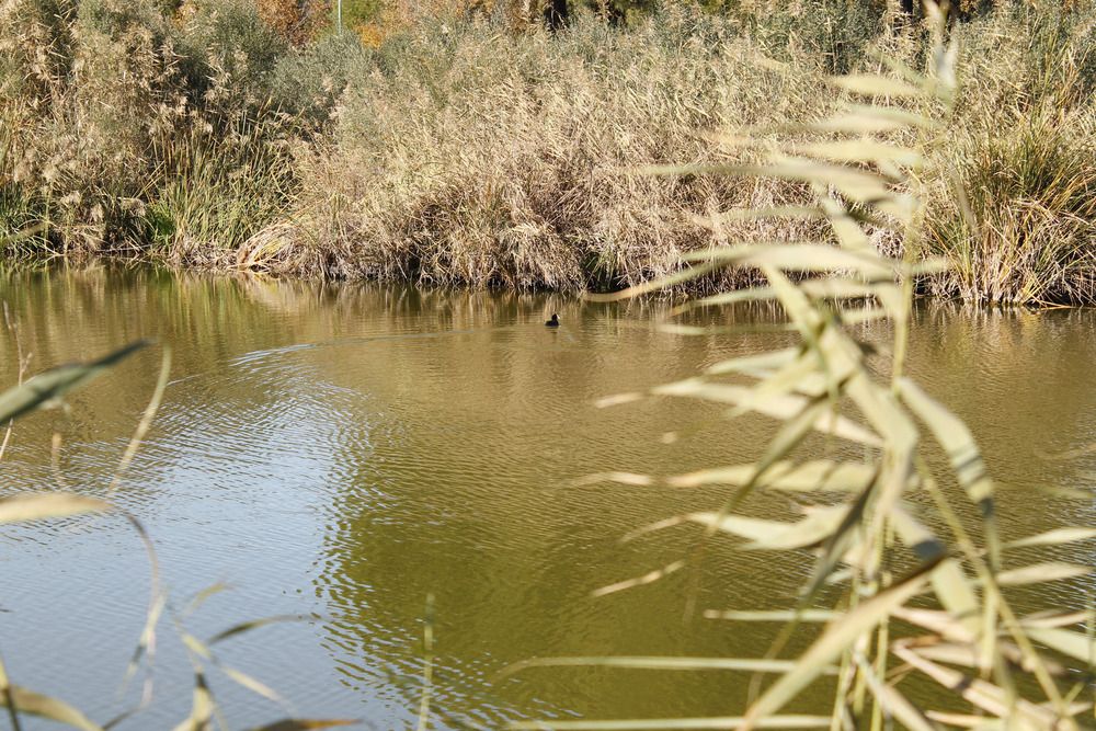 Photograph by angel rodriguez